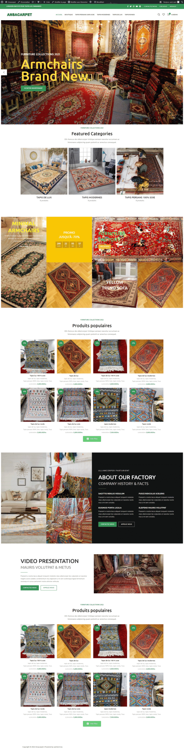 047 ansacarpet portfolio 2
